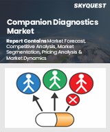 Global Companion Diagnostics Market