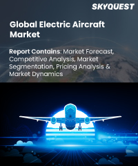 Global Electric Aircraft Market