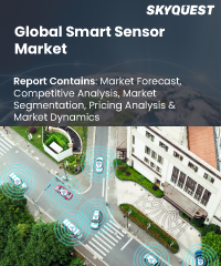 Global Smart Sensor Market