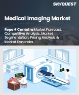 Global Medical Imaging Market
