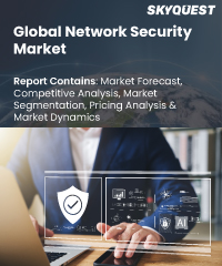 Global Network Security Market