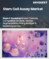 Global Stem Cell Assay Market